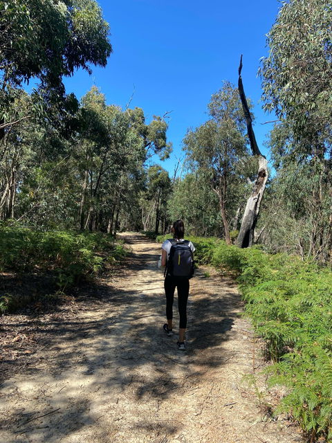 Mt Everard Circuit - Accommodation Adelaide 0