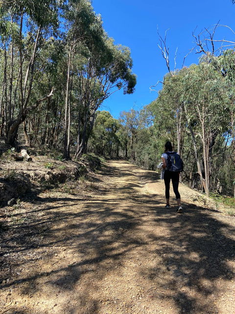 Mt Everard Circuit - Accommodation Adelaide 2