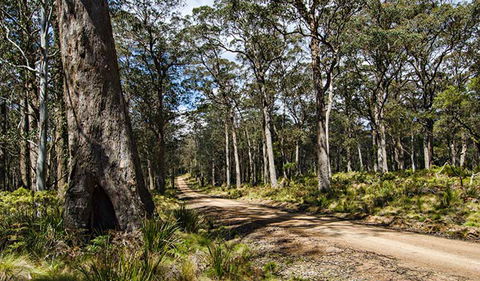 Mummel Gulf National Park - Accommodation Adelaide 1