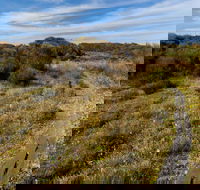 Murramarang Aboriginal Area Walking Track - Accommodation Adelaide