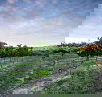 Nature and Foodies Trail - Accommodation Adelaide