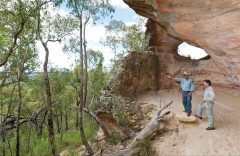 Pilliga National Park - Accommodation Adelaide 0