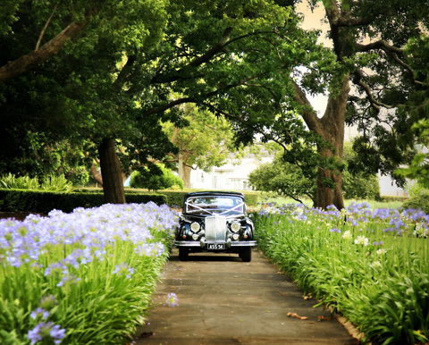 Queens Park, Toowoomba - Accommodation Adelaide 2