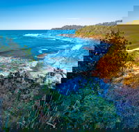 Shellgrit Beach Red Head - Accommodation Adelaide