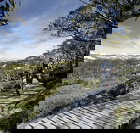 Snow Gums boardwalk - Accommodation Adelaide