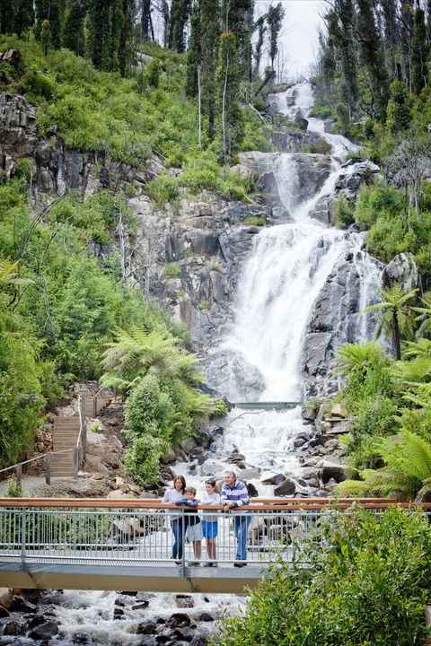 Steavenson Falls - Accommodation Adelaide 2