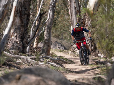 Thredbo Valley Track - Accommodation Adelaide 2