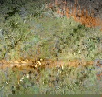 Time Walk Windjana Gorge National Park - Accommodation Adelaide