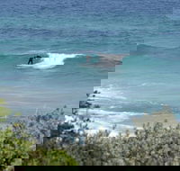 Trigg Island Beach - Accommodation Adelaide