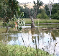 Tumut Wetlands - Accommodation Adelaide