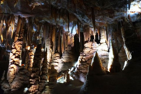 Jenolan Caves: Orient Cave Tour - Accommodation Adelaide 2