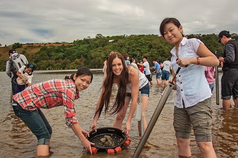 Catch A Crab Tour With Optional Seafood Lunch - Accommodation Adelaide 6