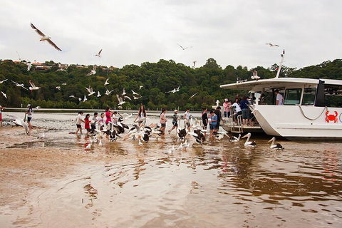 Catch A Crab Tour With Optional Seafood Lunch - Accommodation Adelaide 1