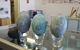 Dharriwaa Elders Group Exhibition Centre - thumb 0
