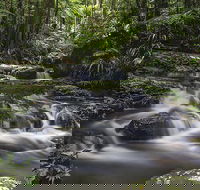 Protesters Falls Walking Track - Accommodation Adelaide
