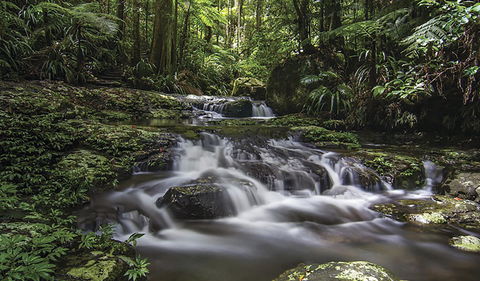 Protesters Falls Walking Track - Accommodation Adelaide 0