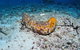Two Towers Dive Site - thumb 0