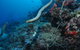 Two Towers Dive Site - thumb 1