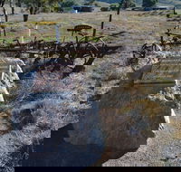 Wangaraleednie Monument  Ruins - Accommodation Adelaide