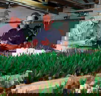 A Taste Of Norfolk - Accommodation Adelaide