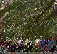 Breakfast Bushwalk Tour in Captain Cook's Monument - Accommodation Adelaide