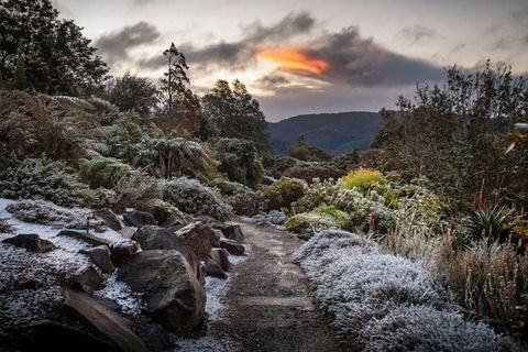 Blue Mountains Botanic Garden And Bilpin Tour From Katoomba With Cider Tasting - Accommodation Adelaide 2
