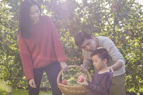 Blue Mountains Botanic Garden And Bilpin Tour From Katoomba With Cider Tasting - Accommodation Adelaide 1