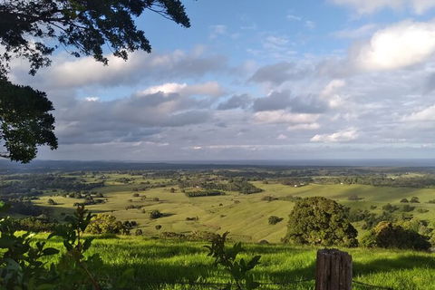 Coffee Farm Tour And Workshop, Byron Bay Hinterland - Accommodation Adelaide 4