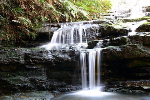 Private 10-hour Tour To Blue Mountains From Sydney - Hotel Pick Up & Drop Off - Accommodation Adelaide 6