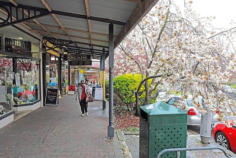 Blue Mountains Highlights, Wildlife Park And Scenic World Full Day Private Tour - Accommodation Adelaide 2