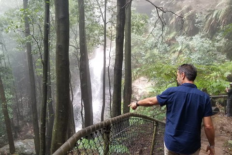 Blue Mountains Highlights, Wildlife Park And Scenic World Full Day Private Tour - Accommodation Adelaide 6