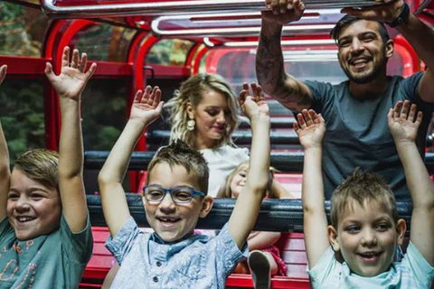 Blue Mountains Highlights, Wildlife Park And Scenic World Full Day Private Tour - Accommodation Adelaide 5