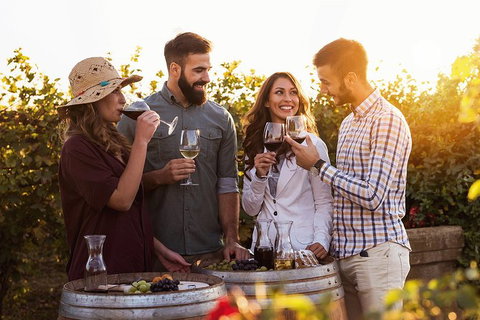 Hunter Valley Highlights Private Wine Tour From Sydney - Accommodation Adelaide 0