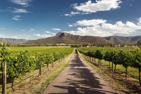 Hunter Valley Highlights Private Wine Tour From Sydney - Accommodation Adelaide 2