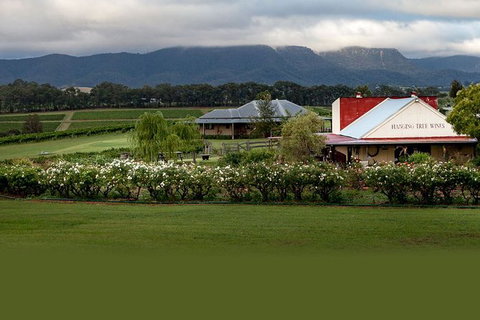 Hunter Valley Highlights Private Wine Tour From Sydney - Accommodation Adelaide 5