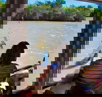 Jumping Crocs  Nature Adventure Cruise from Darwin - Accommodation Adelaide