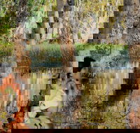 ETHICAL ADVENTURES - Dry Season Litchfield Region Max 10 guests - Accommodation Adelaide