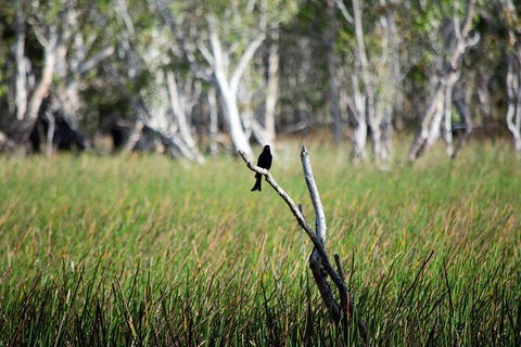 ETHICAL ADVENTURES - Dry Season Litchfield Region, Max 10 Guests - Accommodation Adelaide 2