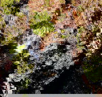 Ethical Adventures - Pure Litchfield - Accommodation Adelaide