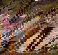 Karrke Aboriginal Cultural Experience - Accommodation Adelaide