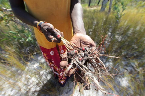 Gay-Wu Woman\'s 5 Day Yolngu Homeland Tour - Accommodation Adelaide 10