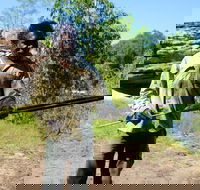 Kakadu  Arnhem Land tour Camping tour - Accommodation Adelaide