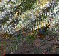 World War II Beyond Darwin - Accommodation Adelaide