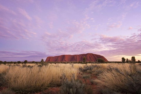 Explore Uluru: 7 Hours Guide Tour At Sunrise With Light Breakfast - Accommodation Adelaide 4