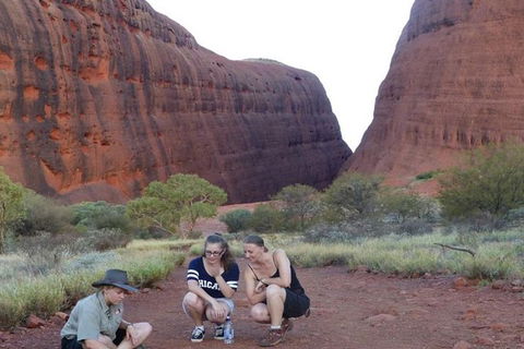 5-Hour Kata Tjuta Sunrise Tour From Ayers Rock With Breakfast - Accommodation Adelaide 3