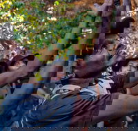 Arnhem Land Injalak Hill Full-Day Tour from Darwin - Accommodation Adelaide