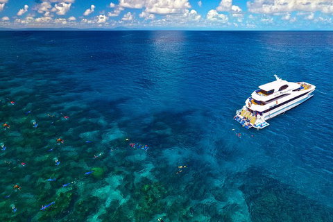 Great Barrier Reef Snorkeling And Diving Cruise From Cairns - Accommodation Adelaide 12