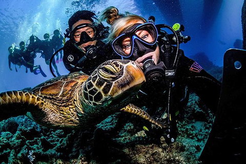 Great Barrier Reef Snorkeling And Diving Cruise From Cairns - Accommodation Adelaide 11