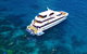 Great Barrier Reef Snorkeling And Diving Cruise From Cairns - thumb 0