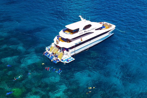 Great Barrier Reef Snorkeling And Diving Cruise From Cairns - Accommodation Adelaide 0